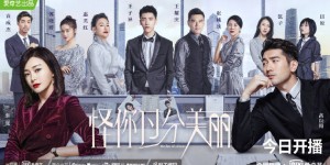 《怪你过分美丽》全集百度云免费在线观看网盘【高清1080P】资源