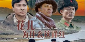 《花儿为什么这样红》中英双字已完结无剪切版【BD1280P/3.4G-MKV】阿里云盘