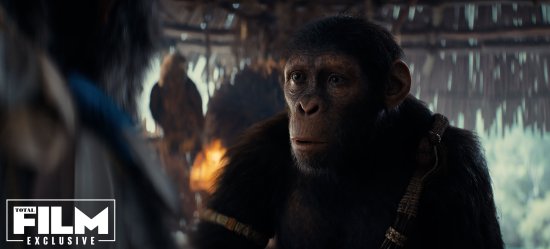 《猩球崛起4：新世界》曝光新剧照：新猩猩主角闪亮登场